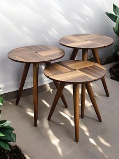 three wooden tables sitting next to each other near a wall and potted plant in the corner