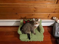 a cat sitting on top of a green chair