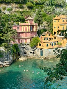 some buildings that are on the side of a hill near water with ducks swimming in it