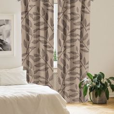 a bed sitting under a window next to a plant in a room with white walls