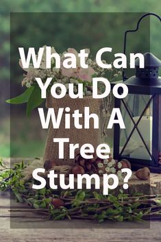 a lantern and flowers on a table with the words, what can you do with a tree stump?