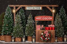 christmas trees are lined up in front of a hot cocoa stand