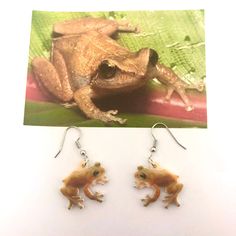 "REALISTIC COQUI EARRINGS  French hook double side image of the adorable coqui. It is gift ready prepared in our deluxe box. It is bound to put a smile on anyone face. Measurements: coqui 1\"x.5\"" Face Measurements, Tropical Island, Premium Gift, Puerto Rican, Tropical Islands, Double Face, Jewelry Care, Jewelry Gift, Gift For Lover