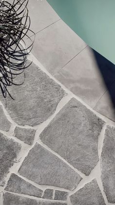 a black and white photo of an umbrella next to a stone walkway with water in the background