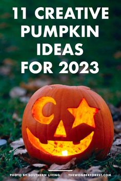 a pumpkin with the words 11 creative pumpkin ideas for 2013 on it and an image of a