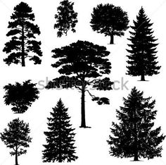 black and white silhouettes of trees