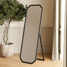 a large mirror sitting on top of a wooden floor next to a potted plant