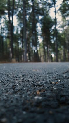 a skateboard is laying on the ground in front of some trees