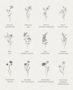 an image of flowers that are labeled in the language of their names and meaningss