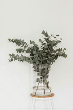 a vase filled with greenery sitting on top of a wooden table next to a white wall