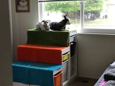 two dogs are sitting on top of colorful boxes in the window sill next to each other