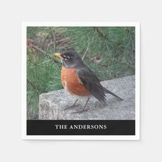 a bird sitting on top of a rock next to a pine tree with the words, the andersons