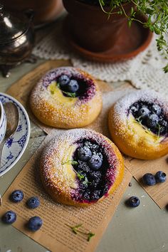 blueberry donuts with powdered sugar and fresh blueberries on a table next to a potted plant