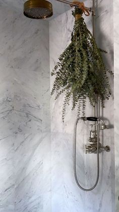 a shower head with plants hanging from it's side