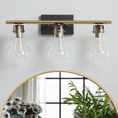 a bathroom mirror with three lights and a potted plant