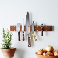 there is a potted plant and knife holder on the wall