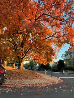 a car parked on the side of a road next to a tree with orange leaves