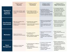 the three levels of business development and management, with one level labeled in blue on top