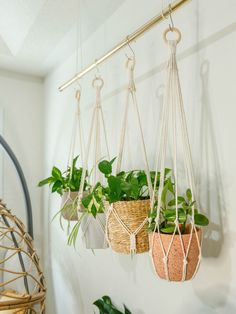 three hanging planters with plants in them on a wall next to a wicker hammock