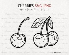 cherries svg clipart, hand drawn cherrys with leaves on white background