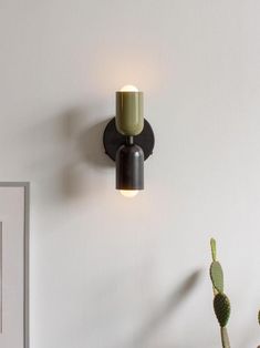 a light that is on the wall next to a potted plant and cacti