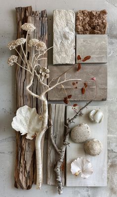 an assortment of different types of rocks and plants on wooden planks with white flowers