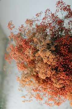 a vase filled with lots of red flowers on top of a white tablecloth covered wall