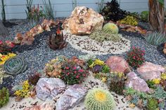 an assortment of rocks and cacti in a rock garden with succulents