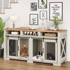 two dogs sitting in their kennels under the stairs