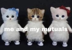 three stuffed cats are standing next to each other