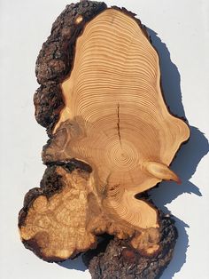 a piece of wood that has been cut in half