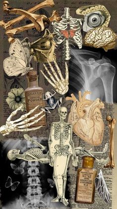 an altered collage with skeleton images and bones