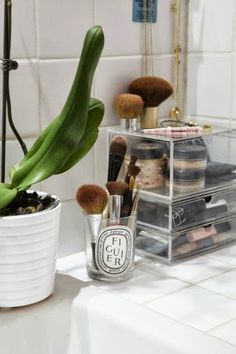 there is a container with makeup brushes on the counter next to a potted plant