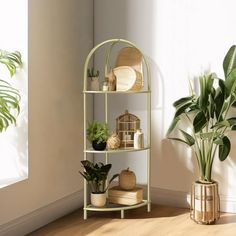 a corner shelf with plants and plates on it next to a potted houseplant