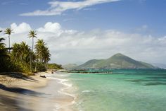 the beach is lined with palm trees and clear blue water, as well as an island in the distance