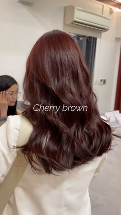 Hair Color For Chinese Women, Hair Colors That Grow Out Well, Rustic Brown Hair Color, Red Brown Shag Hair, Hair Color That Makes Your Skin Lighter, Popular Korean Hair Color, Cool Tone Red Brown Hair, Medium Brown Red Hair Color, Subtle Cherry Red Hair