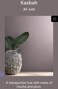 a potted plant sitting on top of a wooden table next to a purple wall