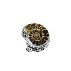 Vintage Promise Ring, Fossil Ring, Promise Rings Vintage, Ammonite Fossil, Halloween Vintage, Ring Jewelry, Vintage Halloween, Promise Ring, Promise Rings