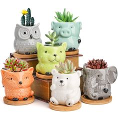 PRICES MAY VARY. Package Includes: You will get 6 pcs cute animal succulent planter pot with bamboo trays. All the flower pots are well packaged to make sure delivery safely and avoid damage during transit. Notes: PLANTS NOT INCLUDED! Adorable Size: Mini succulent pots are perfect for displaying small succulents, cactus, and herbs. The perfect size suitable for decorative gardening, desk, office, window, kitchen, balcony, bookshelf, dinning table and hosting room, etc. Premium Material: Our cute African Milk Tree, Flower Pot Indoor, Ceramic Succulent Pots, Elephant Planters, Planting Pot, Ceramic Succulent, Bamboo Tray, Animal Planters, Mini Succulents