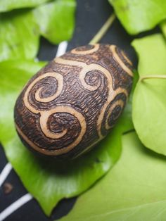 a decorative wooden object sitting on top of green leafy plants and leaves in the background