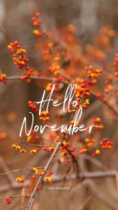 the words hello november are written in white ink on a branch with red and yellow berries