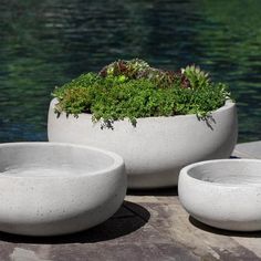 Rio Bowl in Playa Blanca Set of 3 - Outdoor Art Pros Campania International, Landscape Gardening, Contemporary Planters, Fiberglass Planters, Hanging Plants Indoor, Cement Planters, Cement Pots, Classic Garden, Concrete Garden