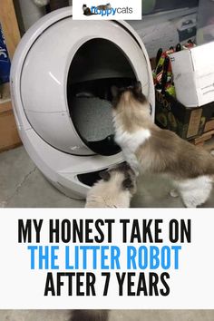 Read this honest review after 7 years of ownership to discover litter robot pros, cons, litter robot maintenance tips, and overall value. Find out if this self-cleaning litter box is worth the investment for you and your cat. Cat Supplies List, Cat Food Brands, Cat Advice, Cleaning Litter Box, Best Cat Litter, Best Cat Food