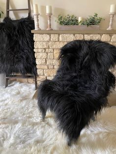 a black dog sitting on top of a white rug next to a fire place with candles