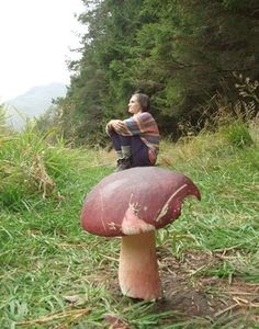 a man sitting on top of a mushroom in the grass