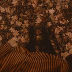 a person standing in front of leaves on the ground with their feet propped up against them