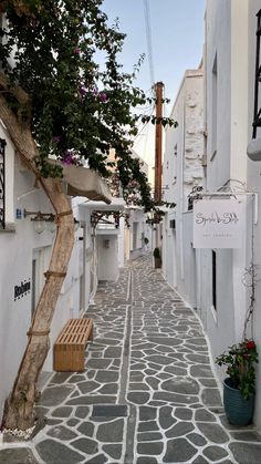 a narrow street with white buildings and trees on both sides, along with a wooden bench in the middle