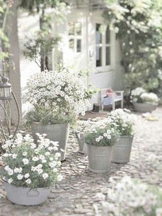 several potted plants sitting on the ground in front of a house