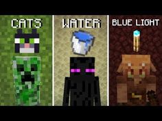 three different types of cats in minecraft with text that reads cats water, blue light and