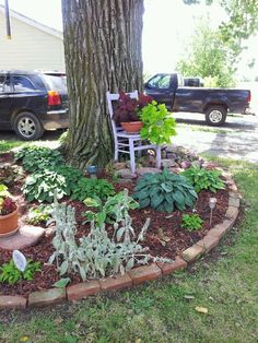 a chair sitting under a tree in the middle of a flower bed next to a house